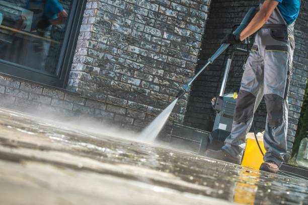 Best Roof Cleaning and Mildew Removal in Galesville, MD